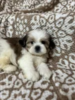 processed/5b3e4b9b-ded7-4c1d-a14e-37815eb93d4a/listing/c7201bae-8bd6-4733-9c98-6ee8d7ab68f7/d08377ac-1c07-40ae-9d70-97d260bec49f