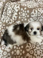 processed/5b3e4b9b-ded7-4c1d-a14e-37815eb93d4a/listing/c7201bae-8bd6-4733-9c98-6ee8d7ab68f7/d0a08863-ccc1-4676-8916-6afe5cf266b8