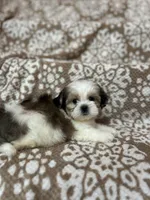 processed/5b3e4b9b-ded7-4c1d-a14e-37815eb93d4a/listing/c7201bae-8bd6-4733-9c98-6ee8d7ab68f7/dd8f3f6e-e5dc-48e7-93c5-73625ac8a3b7