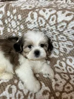 processed/5b3e4b9b-ded7-4c1d-a14e-37815eb93d4a/listing/c7201bae-8bd6-4733-9c98-6ee8d7ab68f7/f1761c5f-ec00-4f69-9241-a6a837888ab2