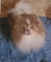 processed/5b5079c2-2f12-4d89-aaae-e181782b5945/facility/1a1fdc18-9575-4219-85f0-8fb71a20ef5b