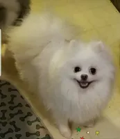 processed/5b5079c2-2f12-4d89-aaae-e181782b5945/facility/95a0c29f-bc5c-428d-85ff-2f11d0afbe02