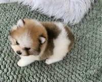 processed/5b5079c2-2f12-4d89-aaae-e181782b5945/facility/f11202db-d704-49f1-a53a-048e72c20f3a