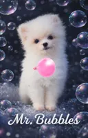 Charting 2.5lbs, a male Pomeranian for sale in Benicia, CA – Photo 2 of 8