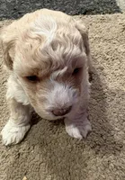 processed/5b5ecc16-f806-4593-bfed-db0676905c0e/facility/a9047bf2-b8c9-43f9-b25f-398c7829f9f9