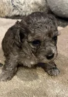 processed/5b5ecc16-f806-4593-bfed-db0676905c0e/facility/a9ea6112-f75a-42b1-923e-1c98a0c0db2c