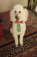 processed/5b6e8d64-5131-4dd2-8aa9-a8d6e0e98bd3/facility/65cc45df-820f-4170-a9bd-3af0e88adaf7