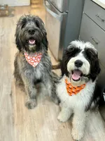 processed/5b6e8d64-5131-4dd2-8aa9-a8d6e0e98bd3/facility/958771fa-2bc8-4e06-b141-b0ae5775eb61