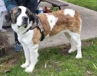 processed/5b6e8d64-5131-4dd2-8aa9-a8d6e0e98bd3/facility/bc74500a-c09d-40b5-8db0-187fdf134cbd