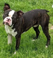 processed/5b6e8d64-5131-4dd2-8aa9-a8d6e0e98bd3/facility/d82ac898-09f3-4f3f-b496-43123af56b5b