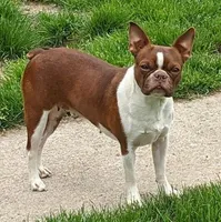 processed/5b6e8d64-5131-4dd2-8aa9-a8d6e0e98bd3/facility/ef4b6b67-4254-4e4a-9b73-12de40aa8516