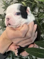 processed/5b6e8d64-5131-4dd2-8aa9-a8d6e0e98bd3/listing/1b37092a-79aa-478a-918c-2e1f5a850d63/1011562a-7d4f-43b2-b6f7-b5a0855a7af5