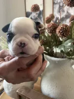 processed/5b6e8d64-5131-4dd2-8aa9-a8d6e0e98bd3/listing/1b37092a-79aa-478a-918c-2e1f5a850d63/64f25758-f149-4a6d-932e-919a71e0f6c6