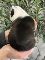 processed/5b6e8d64-5131-4dd2-8aa9-a8d6e0e98bd3/listing/1b37092a-79aa-478a-918c-2e1f5a850d63/7e5f1245-4c68-451e-82a1-98d402f8b2a2