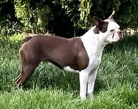 processed/5b6e8d64-5131-4dd2-8aa9-a8d6e0e98bd3/listing/1b37092a-79aa-478a-918c-2e1f5a850d63/9d06ad3e-d4a5-4848-980c-8a49ee023962