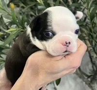 processed/5b6e8d64-5131-4dd2-8aa9-a8d6e0e98bd3/listing/1b37092a-79aa-478a-918c-2e1f5a850d63/b632aab4-dfe2-46ff-8bc8-9b6f3661cb29