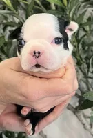 processed/5b6e8d64-5131-4dd2-8aa9-a8d6e0e98bd3/listing/1b37092a-79aa-478a-918c-2e1f5a850d63/d65b3a15-058e-46ba-a8b4-4447d2760f76