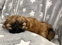 processed/5b6f5539-9947-4f5c-9a32-dede93011f5b/listing/84cdd705-8531-4c03-8a8c-0ae39c344aac/4c633d97-3647-4658-a93c-31accdaa165b