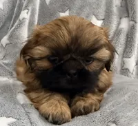 processed/5b6f5539-9947-4f5c-9a32-dede93011f5b/listing/84cdd705-8531-4c03-8a8c-0ae39c344aac/534aa9ba-e03c-481b-9f28-528347f856f0