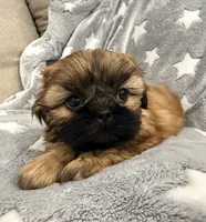 processed/5b6f5539-9947-4f5c-9a32-dede93011f5b/listing/84cdd705-8531-4c03-8a8c-0ae39c344aac/7ac684f6-51d6-4a77-8d0b-32abf8db8303