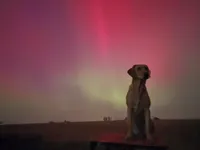 processed/5b76adee-f21d-48e7-96e0-75e23746b9bd/facility/1d2d1ee5-8391-4ab7-9563-d5cb42605572