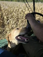 processed/5b76adee-f21d-48e7-96e0-75e23746b9bd/facility/2ae616c4-f5d9-4fd2-abd0-1b82227e2c4d