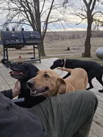 processed/5b76adee-f21d-48e7-96e0-75e23746b9bd/facility/7c8f2d94-277a-4593-b1d9-ee697e3c29b7