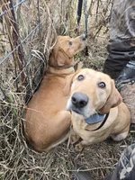 processed/5b76adee-f21d-48e7-96e0-75e23746b9bd/facility/81590167-0c8a-49e5-be55-9dfbe5febee9