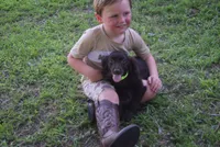 Camo, a male Boykin Spaniel for sale in Jacksonville, GA – 2 of 9