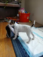 processed/5b802eef-0721-4372-ad5e-39ab2a1e98bf/listing/34cc55f1-7a48-4ad3-98fc-733404cb1868/c776d70c-c327-4b7a-aa01-a2d958f484c1