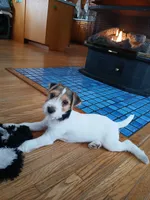 processed/5b802eef-0721-4372-ad5e-39ab2a1e98bf/listing/58e111fd-3c94-4f6b-abd7-5a0c8d520ae4/1a4522c8-a4db-44af-bc30-2dbf8234aa8f