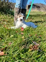 processed/5b802eef-0721-4372-ad5e-39ab2a1e98bf/listing/58e111fd-3c94-4f6b-abd7-5a0c8d520ae4/de9a45b9-e7a8-4bdb-b8ca-5150f89406ab