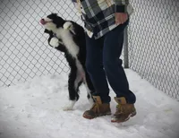 processed/5b8df1c5-f600-4445-aca3-4da6d90d4d9e/listing/10698945-fb31-4efc-8f33-e3ec5f8e5053/20f004d1-e715-4651-b0b7-afaa8c363976