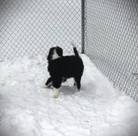 processed/5b8df1c5-f600-4445-aca3-4da6d90d4d9e/listing/10698945-fb31-4efc-8f33-e3ec5f8e5053/3232dfea-a4e4-4790-be62-dee2ae35dc98