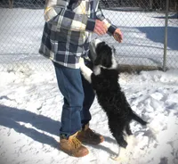 processed/5b8df1c5-f600-4445-aca3-4da6d90d4d9e/listing/2526b9cc-ed8d-4f3e-91a1-ea5c59e6853d/114e51a2-624a-448b-96d7-a3dce9c90b6c