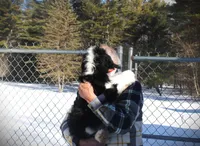 processed/5b8df1c5-f600-4445-aca3-4da6d90d4d9e/listing/2526b9cc-ed8d-4f3e-91a1-ea5c59e6853d/b7448941-bece-46c1-81bb-1cbfba0e97cc