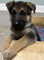 Facility photo
