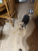 processed/5b9f0681-b4ef-4fc9-8614-6d543f6c629e/facility/d79ae251-d466-4749-8484-11b55b62a184