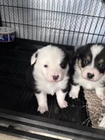 processed/5ba0d7aa-7bbe-40e4-943c-5ee1569280e6/listing/992bb009-80f6-45b2-bea6-694bfd78bd20/f568c08f-3de0-49f0-a5a3-25964de24cd2