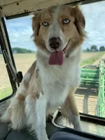 processed/5ba3dd4f-c206-4c0c-81c5-7adbb3fe2fc3/facility/00297d97-2f52-40d8-a9eb-d12e2a028648