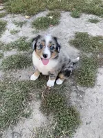 processed/5ba3dd4f-c206-4c0c-81c5-7adbb3fe2fc3/facility/a55995b7-8767-49da-8489-cb43e6ef6aa3