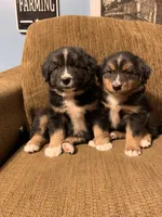 processed/5ba3dd4f-c206-4c0c-81c5-7adbb3fe2fc3/facility/a8400e97-31e9-42a9-bdfa-e68bba66bffd