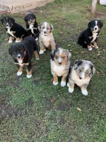 processed/5ba3dd4f-c206-4c0c-81c5-7adbb3fe2fc3/facility/b6f48181-b81a-4e5b-9b5c-ea09ac2d41c0