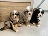 processed/5ba3dd4f-c206-4c0c-81c5-7adbb3fe2fc3/facility/f4c9fc1b-52cf-4f9e-a361-12f0d0bf554d