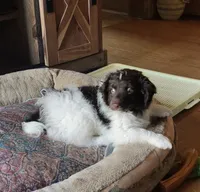 processed/5bb48409-e7db-4f6c-b9e9-bd3988ea71f1/listing/8c67dea9-3529-411e-bd12-8107965d0bd1/09a00e69-b362-4a0b-a3ab-60bd69c9de5c