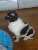 processed/5bb48409-e7db-4f6c-b9e9-bd3988ea71f1/listing/8c67dea9-3529-411e-bd12-8107965d0bd1/5442061c-be56-4a54-9aa3-02e5a4225901