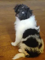 processed/5bb48409-e7db-4f6c-b9e9-bd3988ea71f1/listing/8c67dea9-3529-411e-bd12-8107965d0bd1/e08c369a-be46-4a9b-8338-1f23bb8261d4