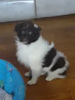 processed/5bb48409-e7db-4f6c-b9e9-bd3988ea71f1/listing/8c67dea9-3529-411e-bd12-8107965d0bd1/f32eaa43-9c12-4157-9a73-987de2f48074