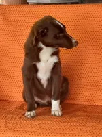 processed/5bb48409-e7db-4f6c-b9e9-bd3988ea71f1/listing/92981a9a-3671-484f-9721-3a9e5c16ae20/825b9ca1-de6e-40c3-8007-44053afed2ad