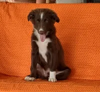 processed/5bb48409-e7db-4f6c-b9e9-bd3988ea71f1/listing/92981a9a-3671-484f-9721-3a9e5c16ae20/e781979e-3dbe-4481-8ddf-b7c8ba3dc0d9